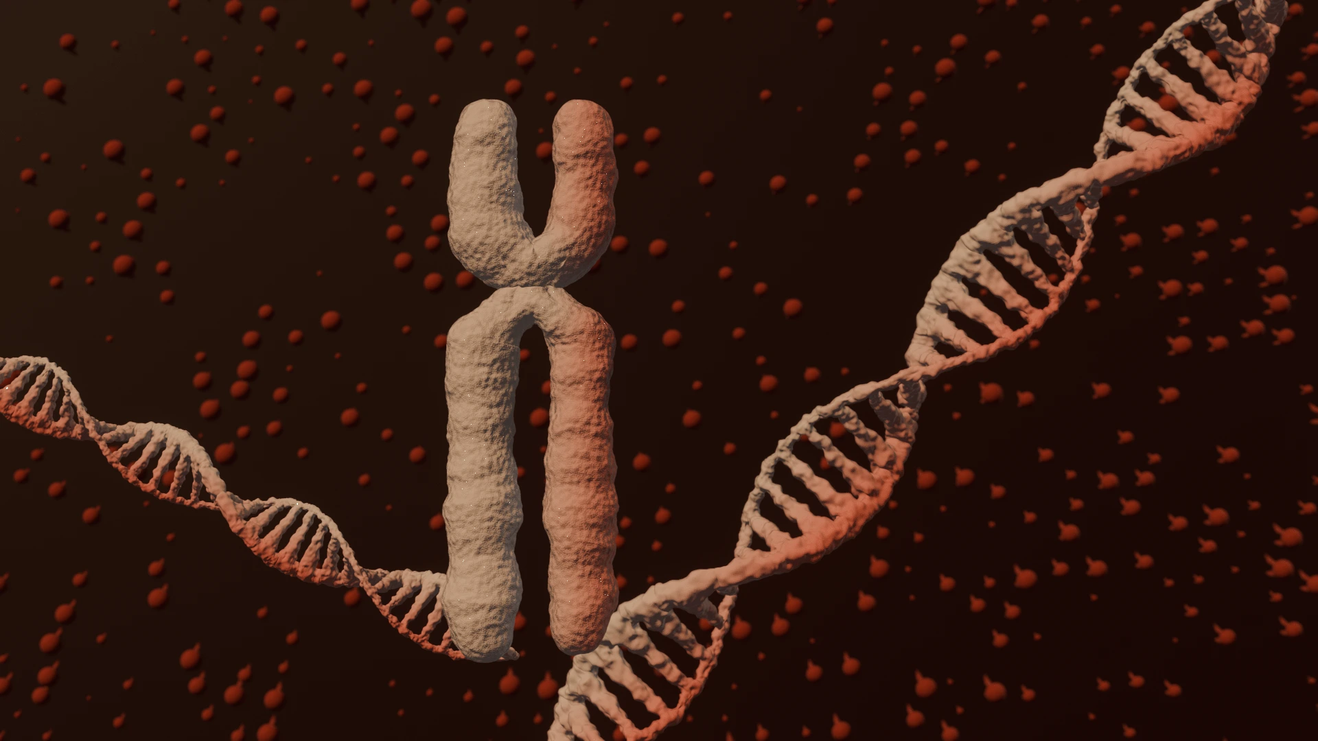 DNA to Chromosome